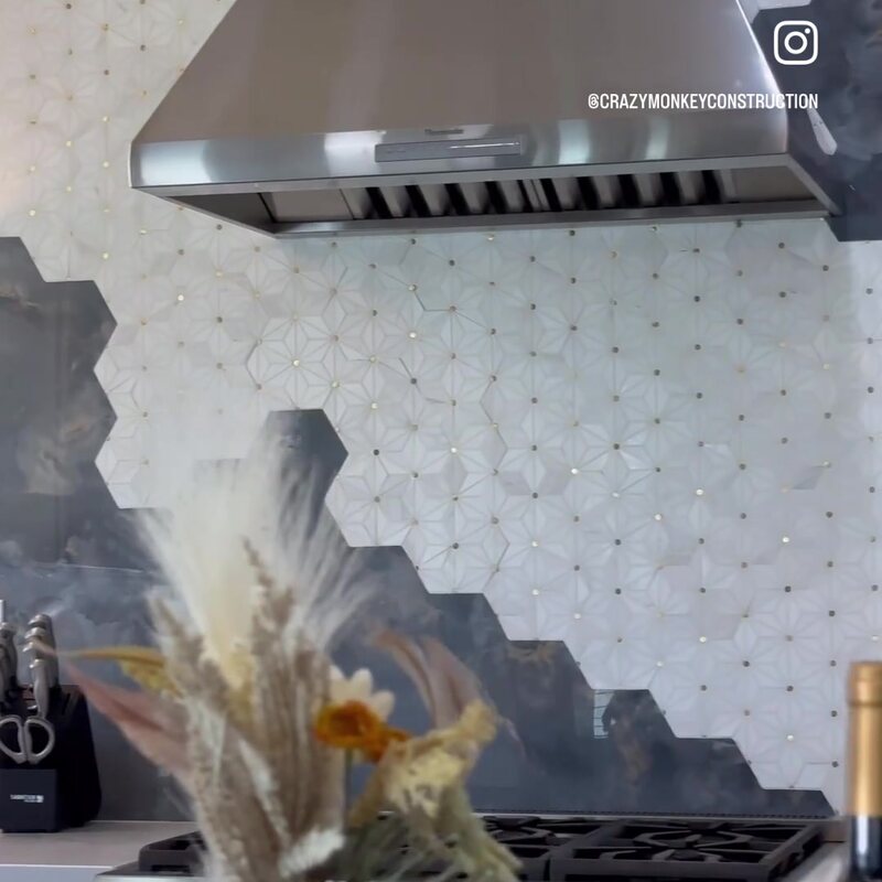 Range hood and backsplash